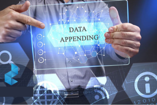 edata-data-appending-page
